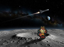 Load image into Gallery viewer, LAbubro RE’s 🌱
